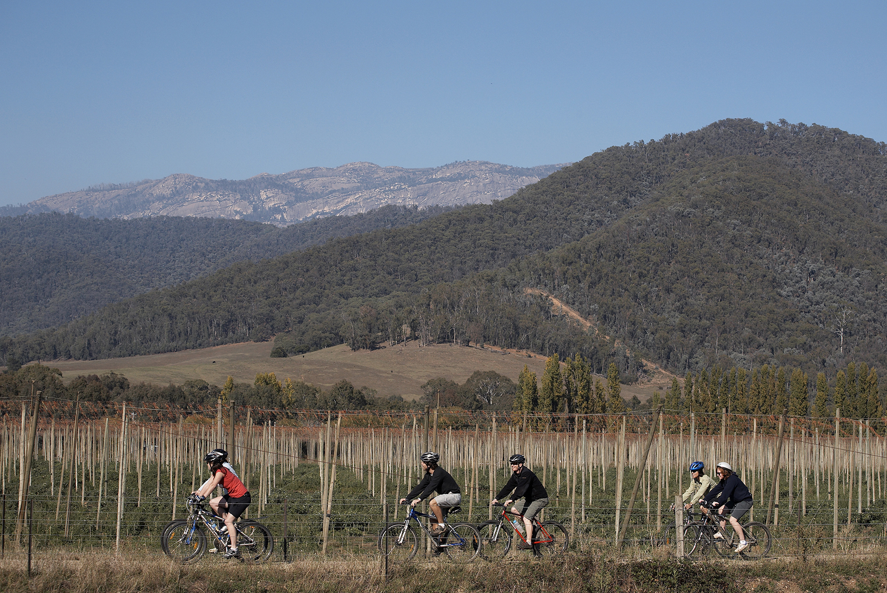 Intrepid-Travel-PZXV-Cycle-the-Victorian-High-Country-114770-56_Peter-Dunphy